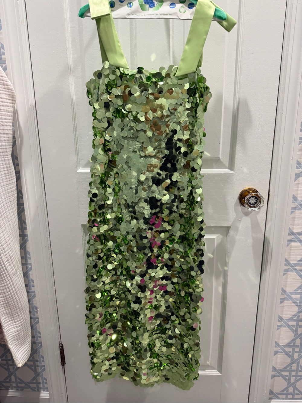 Tuckernuck Light Green Sequin Maxi Dress